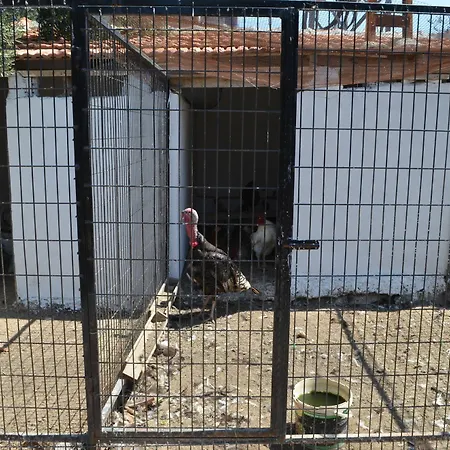 Zeytin Aquapark 3*