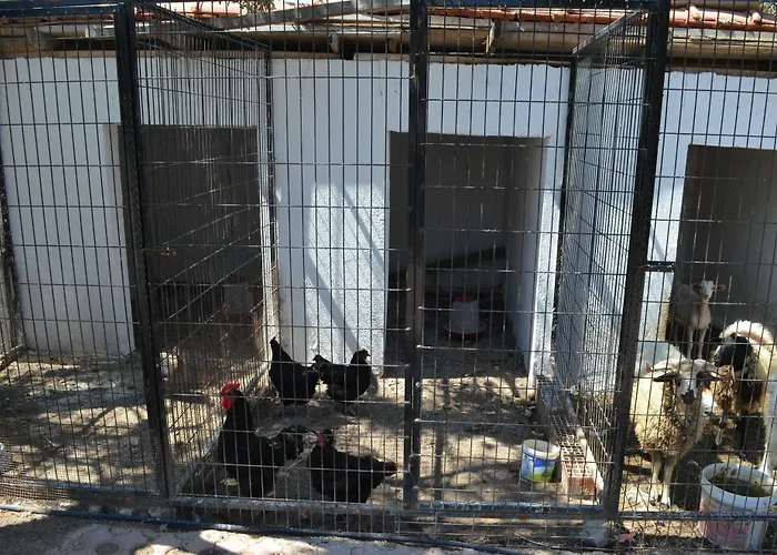 Zeytin Aquapark 3* Ayvalı