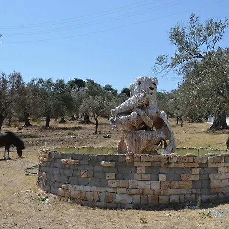 Zeytin Aquapark
