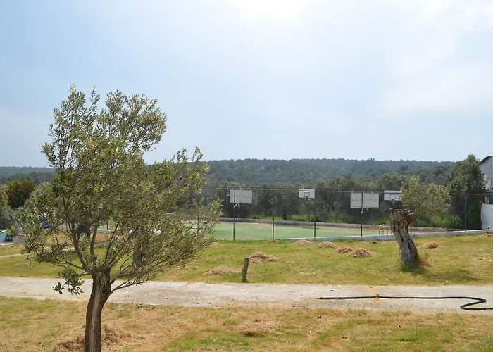 Zeytin Aquapark شقة فندقية Ayvalı